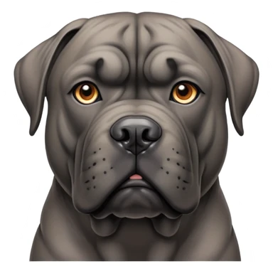 Dog cane corso sticker