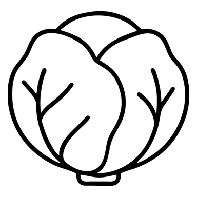 A cabbage in a minimalist, line art style. sticker