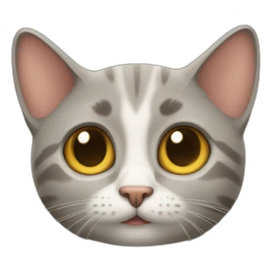 gato curioso sticker