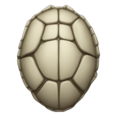 Carapace sticker