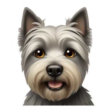 Highland Terrier schwarz grau mit braunen Augen  sticker