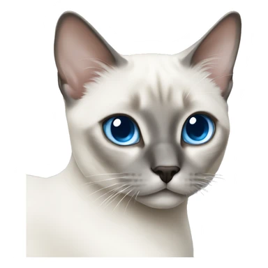 white siamese cat with gray markings and blue eyes sticker