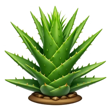 aloe sticker