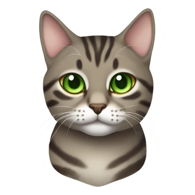 fat brown and gray tabby cat green eyes sticker