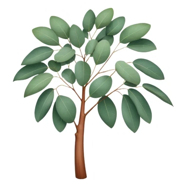 Cinematic Realistic Eucalyptus Emoji, Tall and graceful, with slender trunks covered in smooth, peeling bark and large, fragrant leaves. The eucalyptus trees sway gently in the breeze, releasing a calming aroma that fills the air. Soft glowing outline, capturing the essence of rugged beauty and natural serenity in a tall eucalyptus tree! sticker