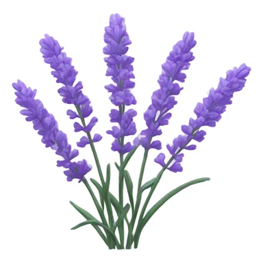 lavanda sticker