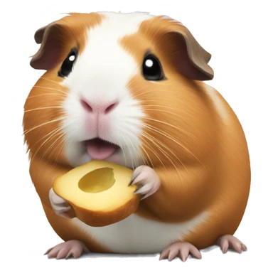 Guinea pig eating sticker