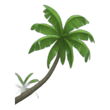 fiji islands sticker