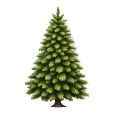Realistic isolated off white fir christmas tree   sticker