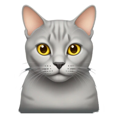 British cat color gray peach with yellow eyes sticker