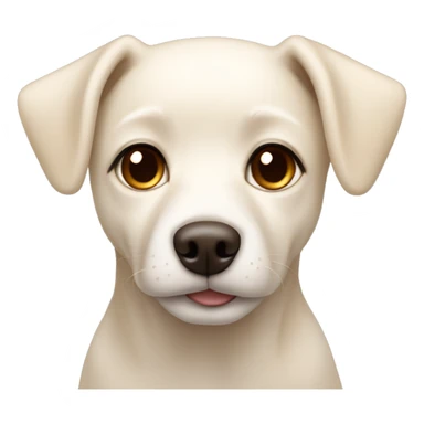 cream white colored dog, pointy ears, brown eyes, light brown nose sticker
