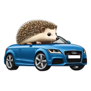 Hedgehog driving a audi TT car sticker