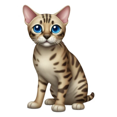 Seal Bengal cat with Blue eyes standing sticker
