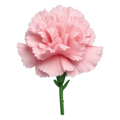 carnation sticker