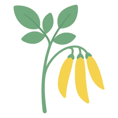 colored icon of a pigeonpea plant with green leaves and yellow pods sticker