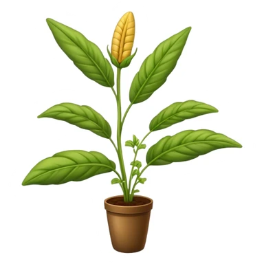 Plantain herb plant sticker