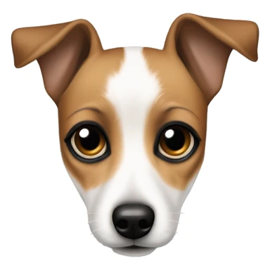 Small jack russel terrier with big dolly eyes, and as if a black eye liner on eyes sticker