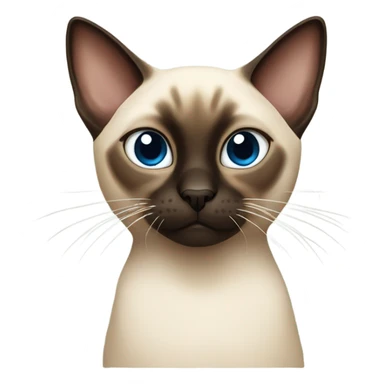 Siamese cat mad because is not getting any food sticker