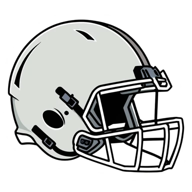 Raider football helmet  sticker
