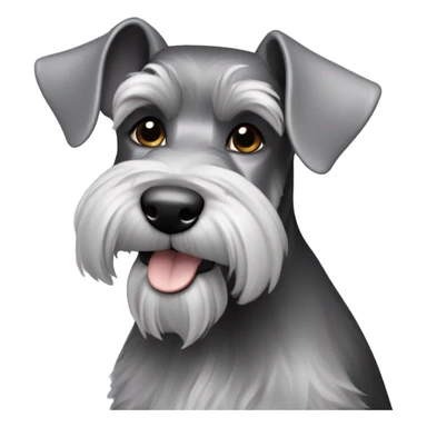 Blqck-silver Miniature schnauzer sticker