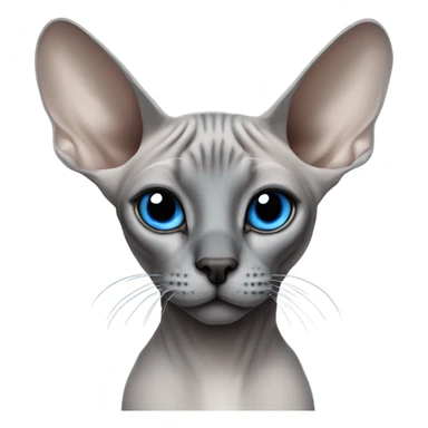 Sphinx cat , grey with a blach nose and blue eyes sticker