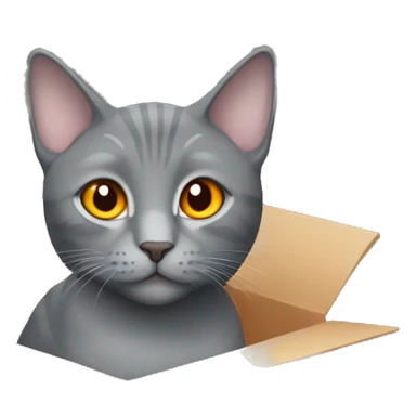 Grey cat orange eyes in a box  sticker