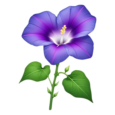 single Morning Glorysuper, stem sticker