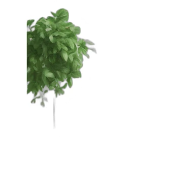 aesthetic greenery minimalist clean workspace sticker