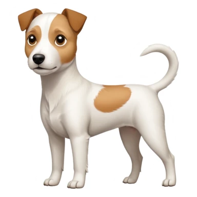a full body slightly chubby white parson russell terrier looking dog the size of a kelpie with light brown long ears and a light brown patch on one eye and a large snout sticker