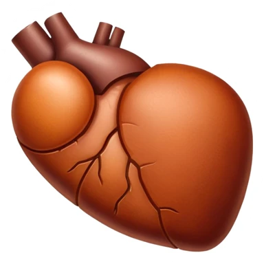 realistic liver sticker