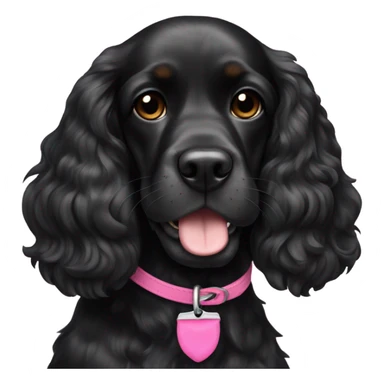 Fully Black cocker spaniel girl with pink collar sticker