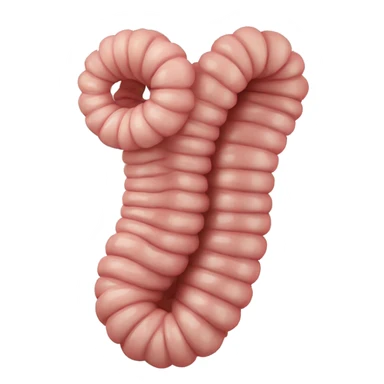 Large Intestine sticker