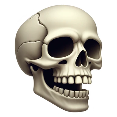 half skull no jaw bone sticker