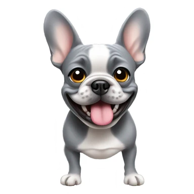 grey frenchie doing funny things  sticker