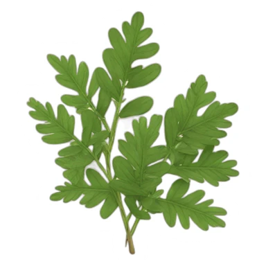 herbarium sticker
