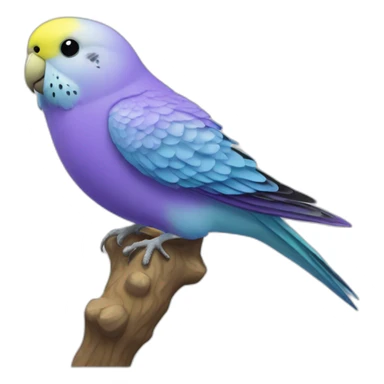 Violet budgie with yellow head sticker
