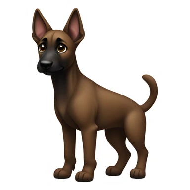 Dark brown malinois puppy with one ear up and one down sticker