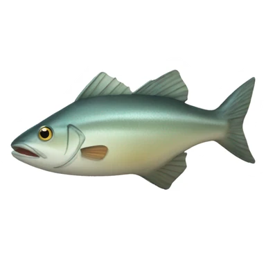 wedge fish sticker