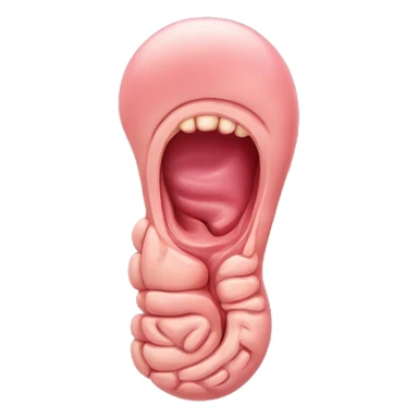 “A detailed illustration of a human stomach, with its curved shape, inner lining, and digestive features, showing subtle shading and a natural pinkish hue.” sticker