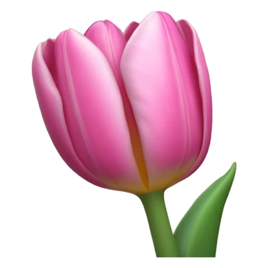 pink tulip flower sticker