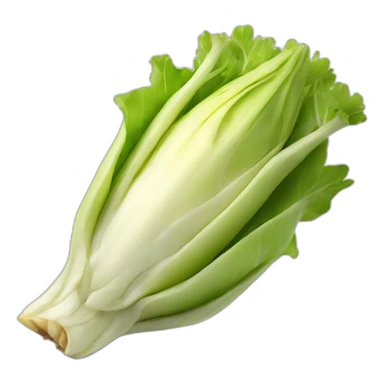 Tortue mange endive sticker