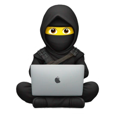 Ninja with laptop sticker