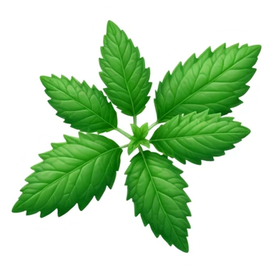 Peppermint (Mentha \(\times \) piperita)  sticker