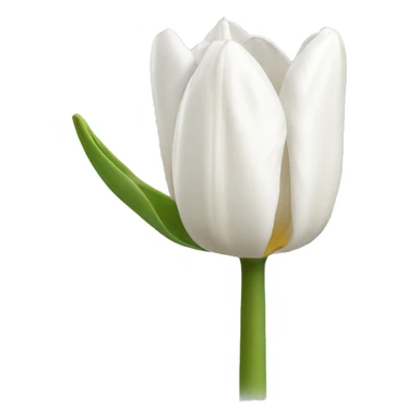 white tulip sticker