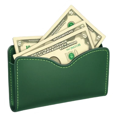 light beige banknotes in an open dark green case sticker