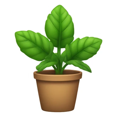 moriviví plant sticker