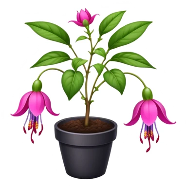 Earth fuchsia sticker