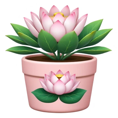 Short, cylindrical ceramic flower pot in pastel pink, containing a lotus flower plant. sticker