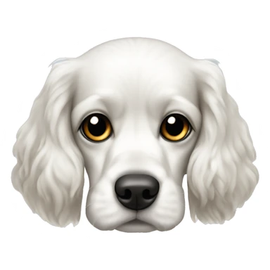 White cocker spaniel with black markings around its eyes sticker