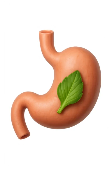 emoji stile iphone 3d di uno stomaco umano con una foglia di carciofo dentro, iperrealistico 4k sticker